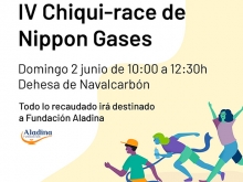 IV CHIQUIRACE DE NIPPON GASES