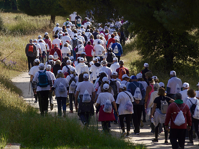 Más de 450 participantes en la 34ª edición de la Marcha de Mayores de Las Rozas 