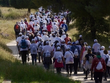 Más de 450 participantes en la 34ª edición de la Marcha de Mayores de Las Rozas 