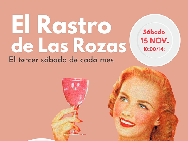 El Rastro de Las Rozas noviembre 2025