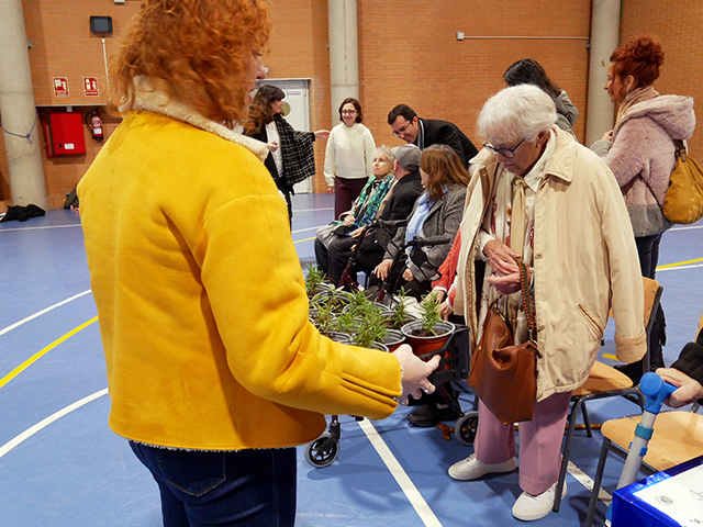 Más de 1.500 escolares regalan plantas a los mayores por Navidad