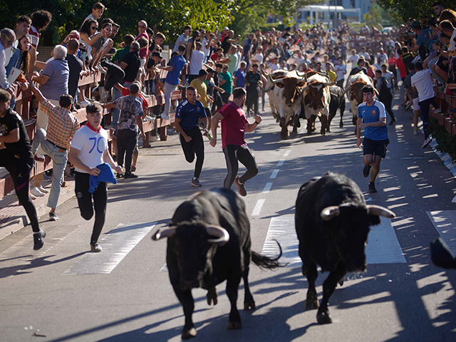 Las Fiestas de San Miguel, protagonistas del primer fin de semana de octubre