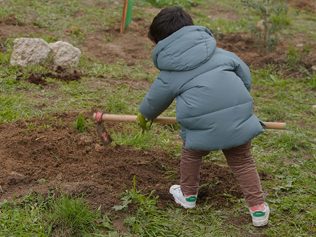 Nueva Gran Plantación Familiar en Las Rozas