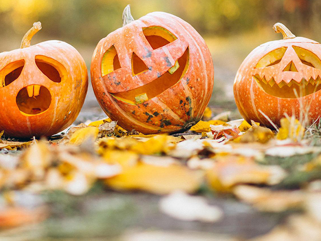 Halloween, cine, música y gastronomía, entre las propuestas para el fin de semana