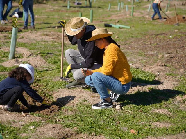 Las Rozas obtiene el premio “Tree Cities of the World 2025”