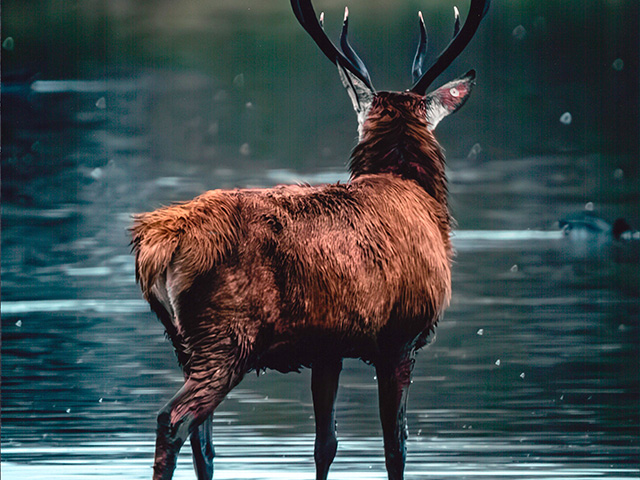 El Concurso Jesús y Adán premia a jóvenes fotógrafos en su 38ª edición