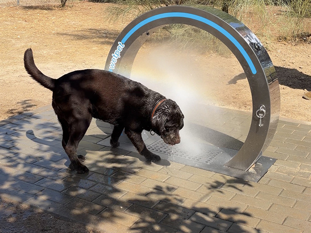 Nuevo dispositivo para refrescar y mejorar el bienestar de los perros