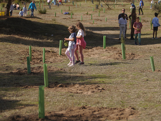 Vuelve la Gran Plantación Familiar