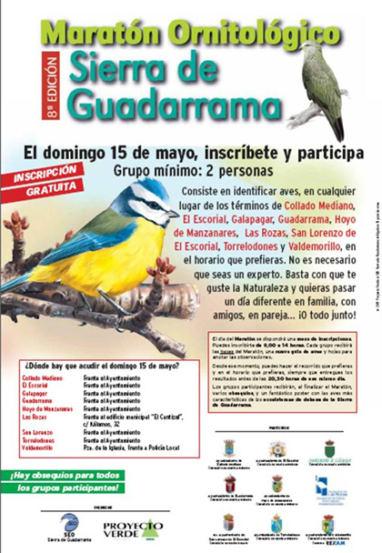 Cartel maratón ornitológico