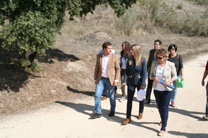 proyecto de reforestación