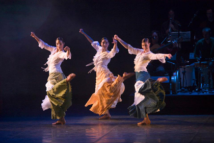 Ibérica de Danza