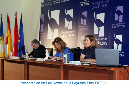 Plan Ficoh