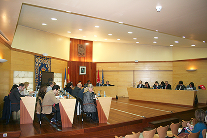 Un momento del Pleno