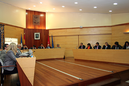 Un momento del Pleno