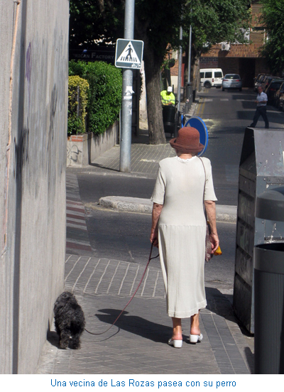 Una vecina de Las Rozas pasea con su perro
