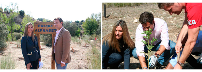 proyecto de reforestación