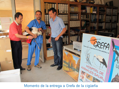 Momento de la entrega a Grefa de la cigüeña
