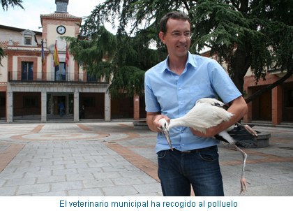 La entregaron a los servicios del GREFA