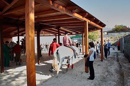 Equinoterapia bajo la nueva cubierta