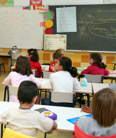 Proceso de escolarización
