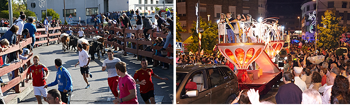 Fiestas de Las Rozas