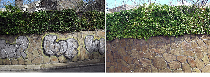 Muro antes y después de la limpieza