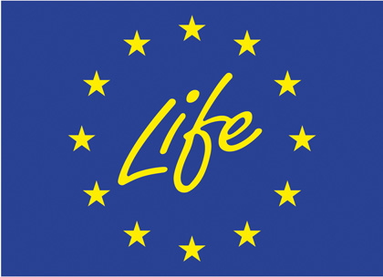 Logotipo Life