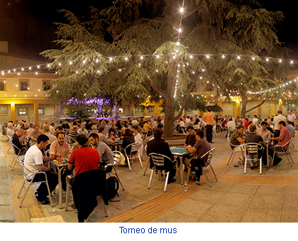 Torneo de mus