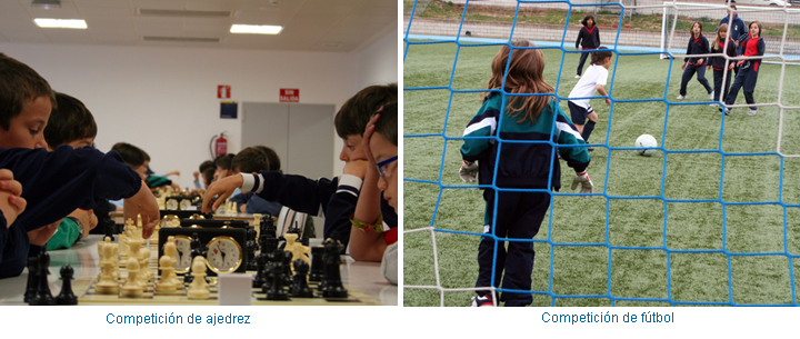 Competiciones
