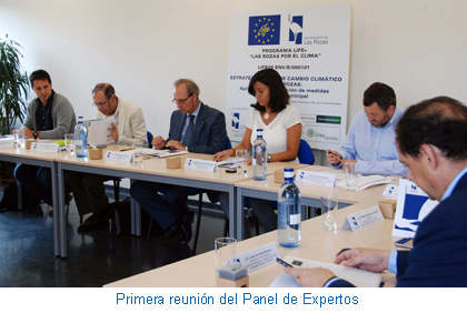 Primera reunión del Panel de Expertos