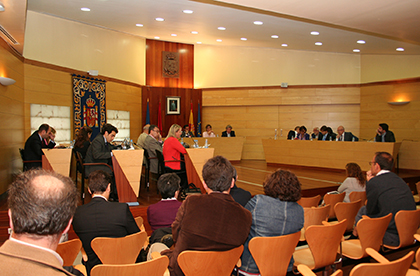 Pleno de Las Rozas