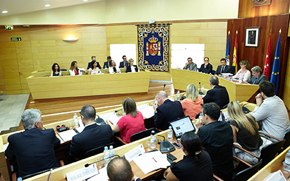 Un momento del Pleno
