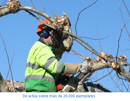 Se actúa sobre más de 20.000 ejemplares