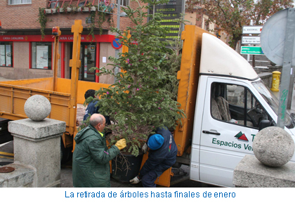 La retirada de árboles, hasta finales de enero