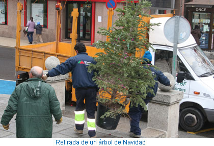 Retirada de un árbol de Navidad