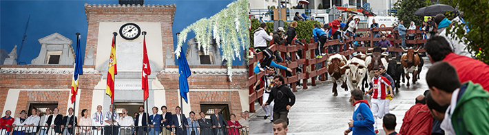 Fiestas de San Miguel 2013