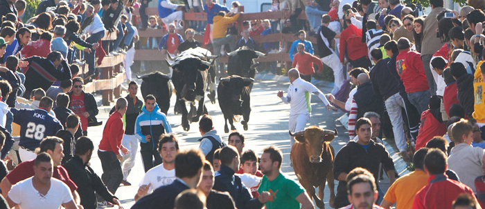 Fiestas de San Miguel