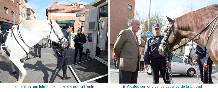 Unidad Ecuestre