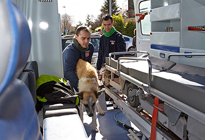 Un momento de la demostración