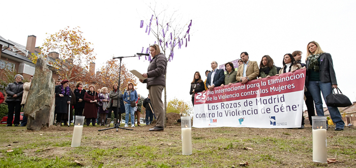 Lectura de la declaración institucional