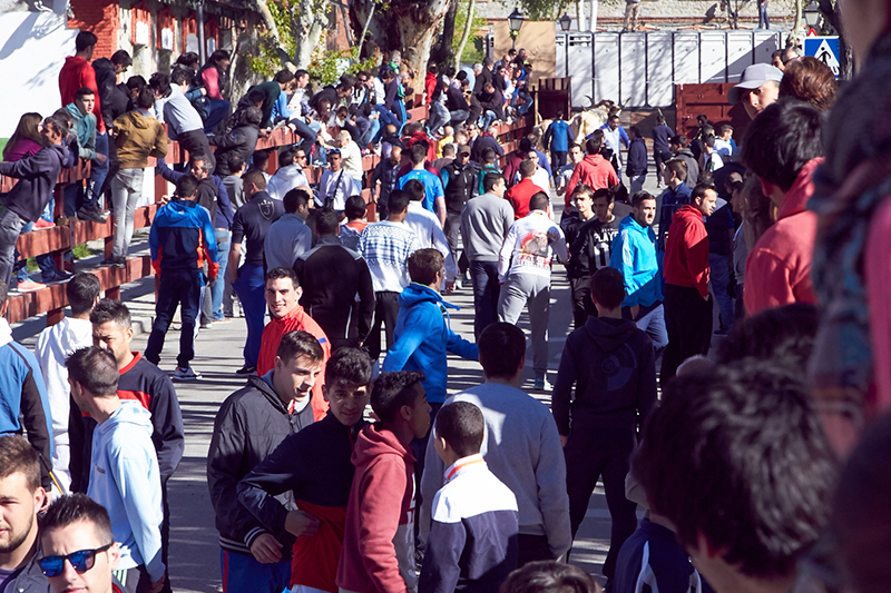 Fiestas de San José