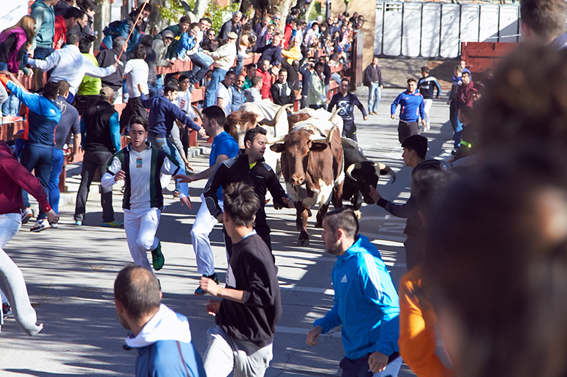 Fiestas de San José