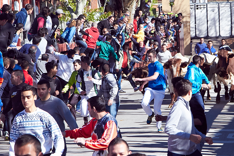 Fiestas de San José