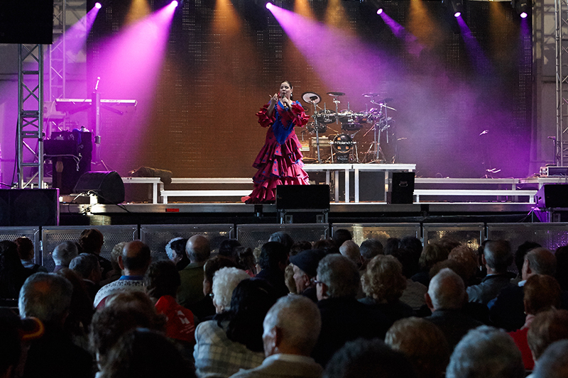 Fiestas de San José