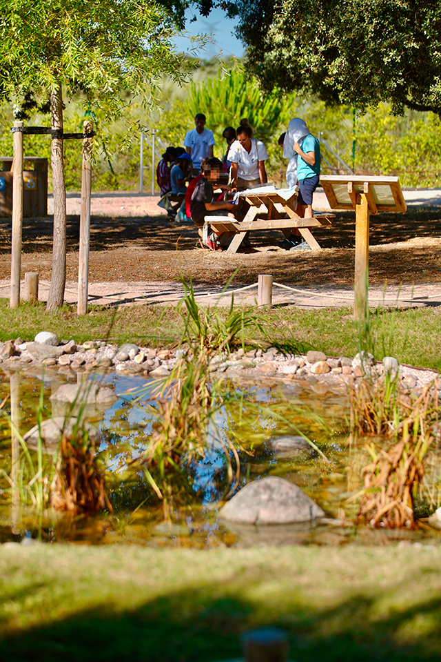campamentos de Medioambiente en La Talaverona