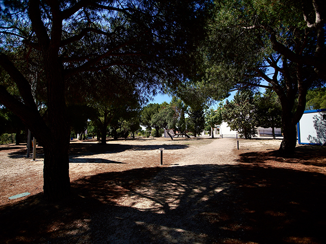 campamentos de Medioambiente en La Talaverona