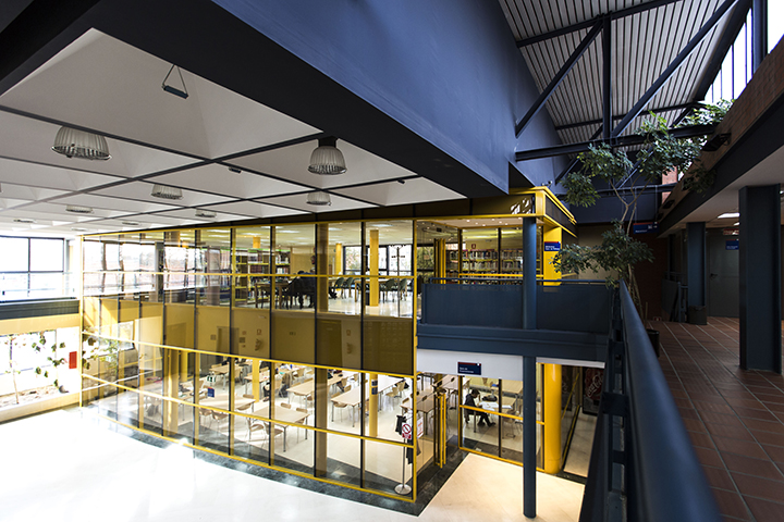 Día de las Bibliotecas
