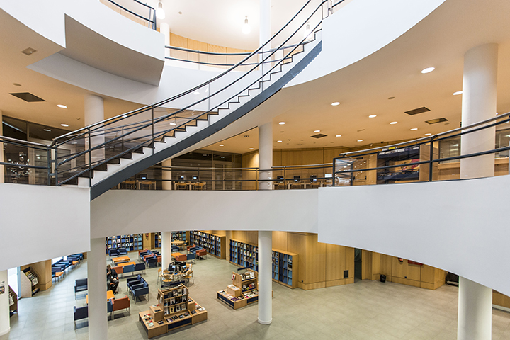 Día de las Bibliotecas
