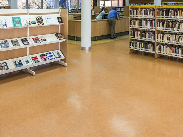 biblioteca