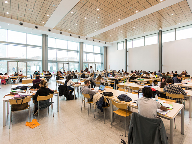 Las bibliotecas de Las Rozas amplían su horario en diciembre y enero para facilitar la preparación de los exámenes